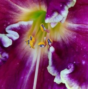 Meet your Posher, Jamie